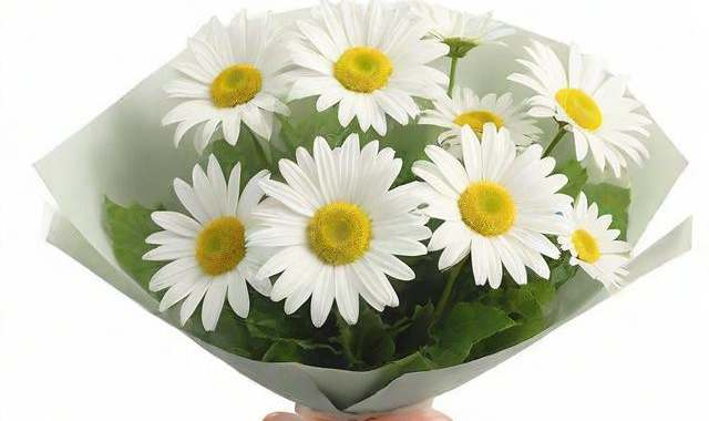 朋友初次见面送什么花:（普通朋友初次见面送点啥）