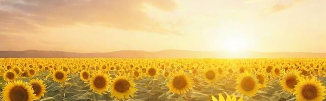 初次见面说说:（初次见面的唯美句）