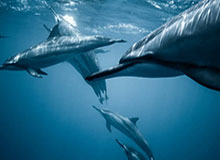 梅江区礼仪风俗:（梅江区特色美食）