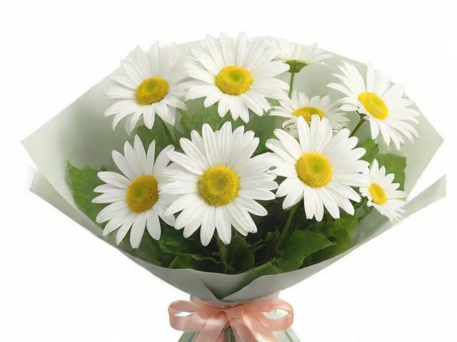 朋友初次见面送什么花:（普通朋友初次见面送点啥）